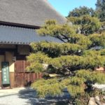 赤野井　周辺ウォーキング