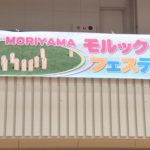 モルックフェスティバル